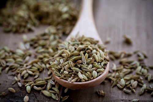 fennel seeds for bad breath