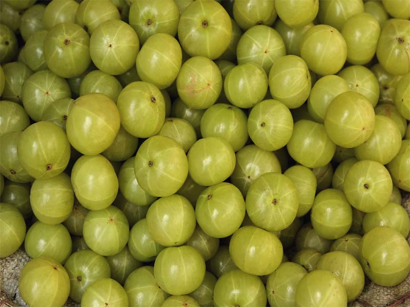 How To Use (indian Gooseberry) Amla For white hair