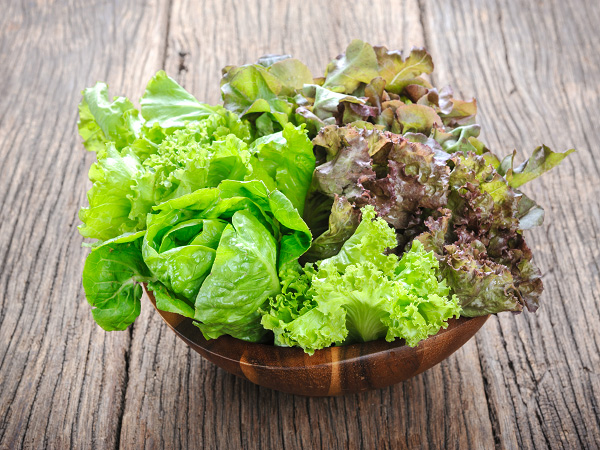 Lettuce high in vitamin k