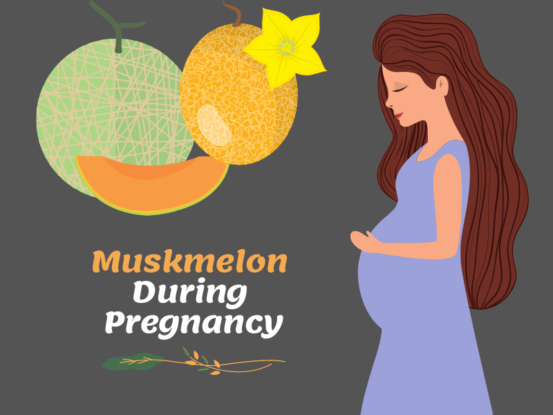 Muskmelon During Pregnancy