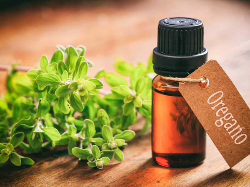 Oregano Oil Benefits For Skin And Hair