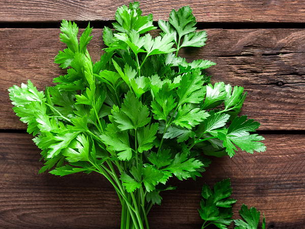Parsley is a rich source of vitamin K