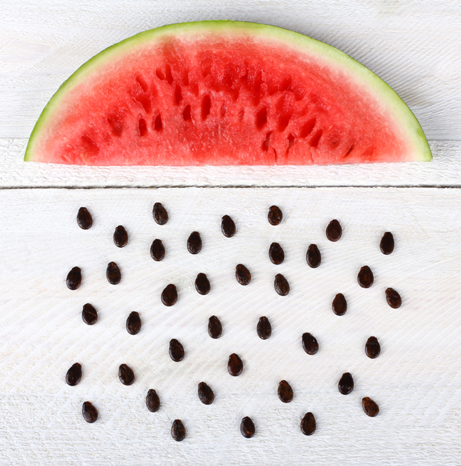 Watermelon Seeds Benefits For Female