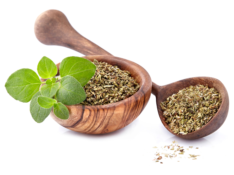 What Is The Benefit Of Oregano In Ayurveda
