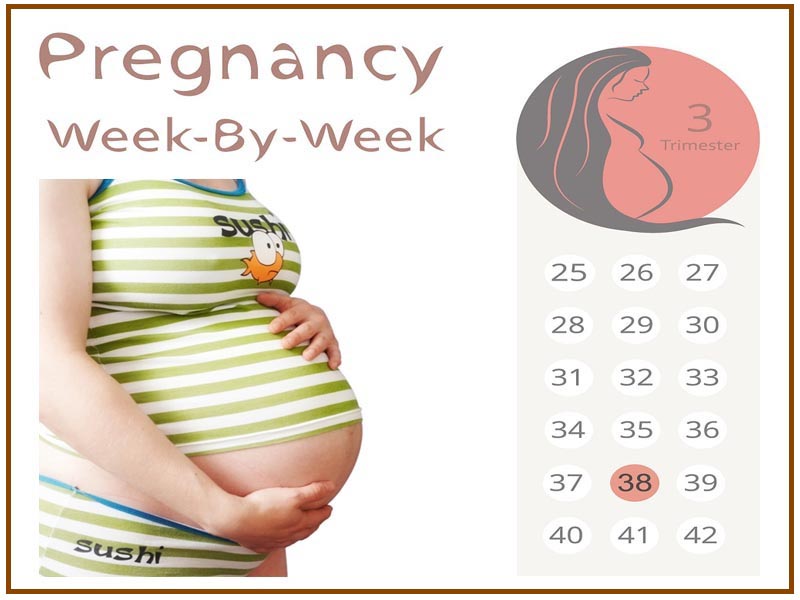 thirty eight weeks pregnant