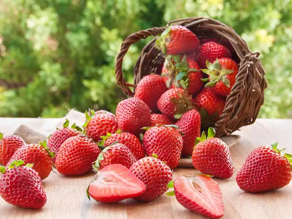 Top 23 Benefits of Eating Strawberry for Health, Hair, and Skin
