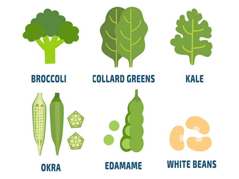 Best Calcium Rich Vegetables List Available In India
