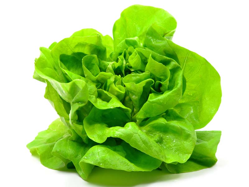 Best Lettuce Leaves Benefits For Skin, Hair & Health