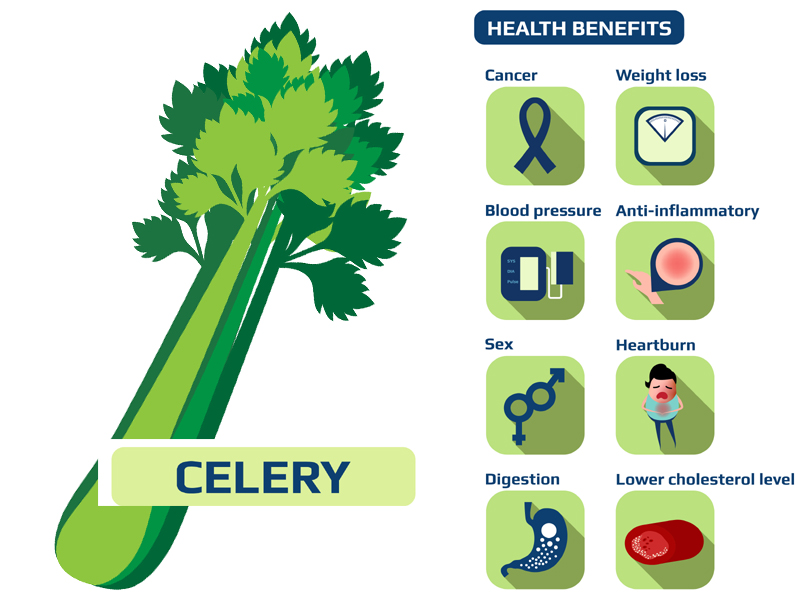 Celery Is Naturally Low In Calories, Carbohydrates, Fat And Cholesterol