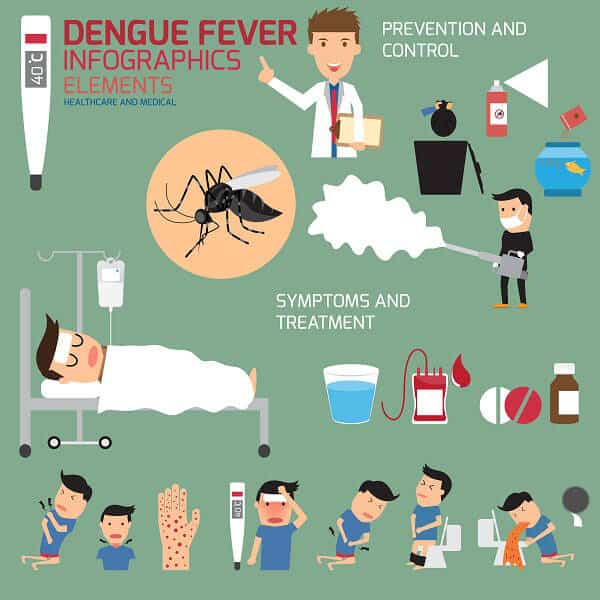 Dengue fever infographics