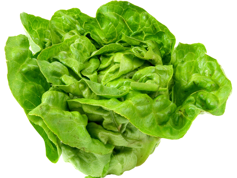 Lettuce Is A Fair Source Of Folate, Which Is Needed For Healthy Cells And The Healthy Growth Of Babies During Pregnancy