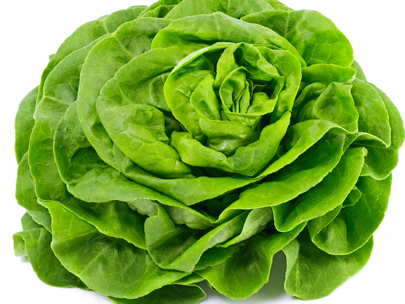 Lettuce Is An Excellent Source Of Beta Carotene (vitamin A)