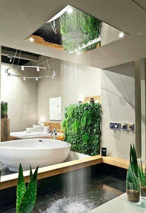 Open Shower Bathroom Decoration