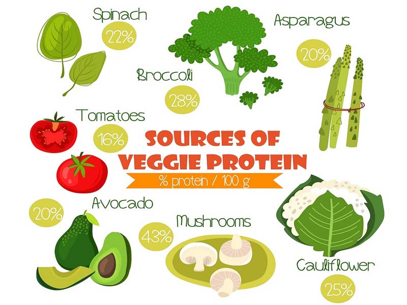 Vegetarian Protein Foods List Available In India