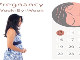 13 Weeks Pregnant- Symptoms and Baby/Fetal Development
