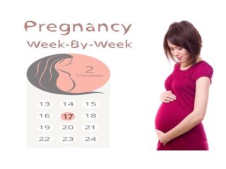 17 Weeks Pregnant: Symptoms, Baby Development & Care