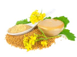 Mustard During Pregnancy: Benefits and Side Effects