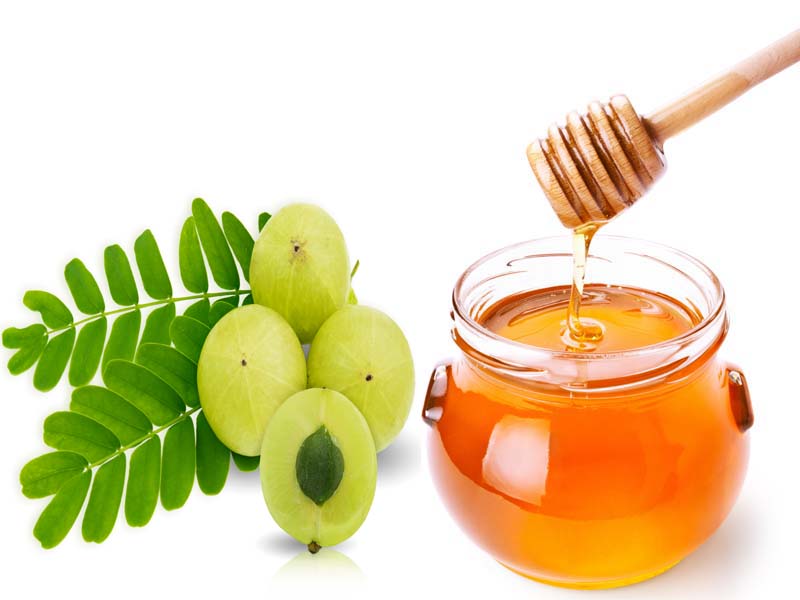 Health Benefits Of Amla And Honey