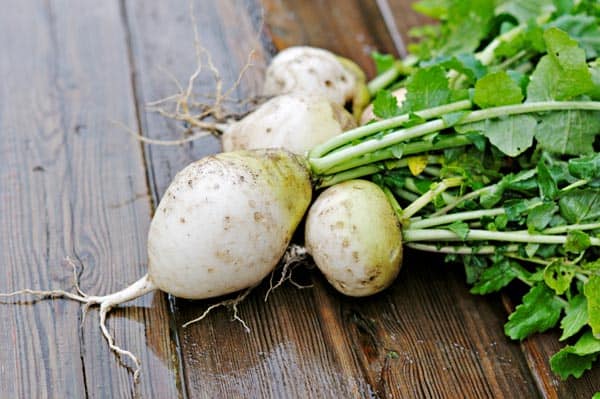 Turnips to Increase Height