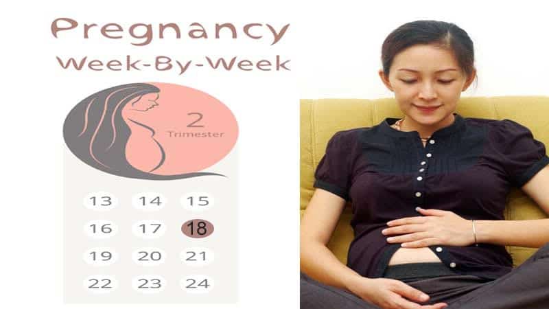 eighteen weeks pregnant