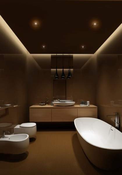 Bathroom Ceiling Decoration Idea