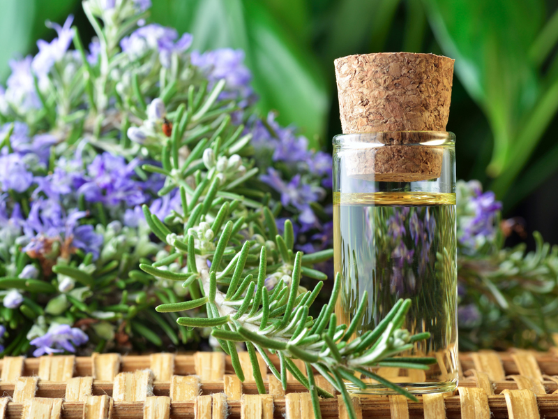 Best Methods To Use Rosemary Oil For Hair Growth