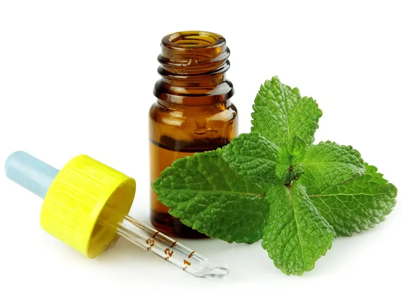 How To Use Peppermint Oil For Hair Growth? | Styles At Life