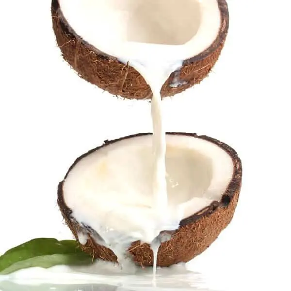 How to Use Coconut Milk for Hair Growth? | Styles At Life