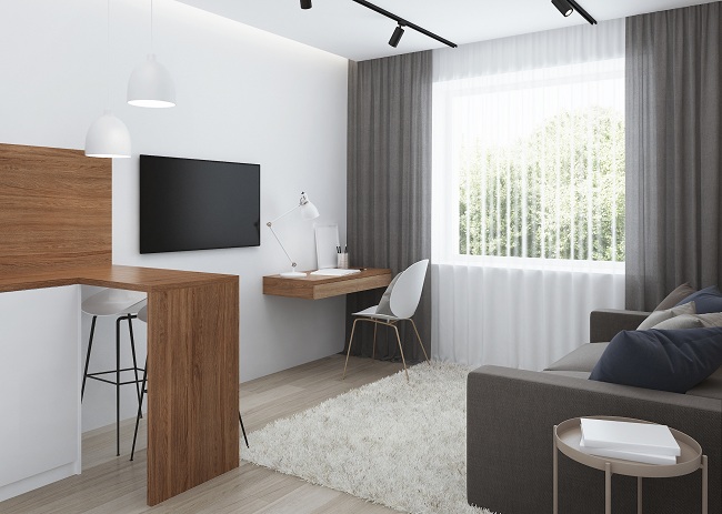Apartment Hall Furniture Design