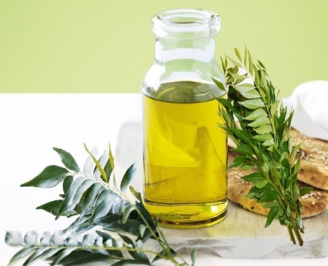 7 Surprising Benefits of Curry Leaves for Hair Growth | Styles At Life