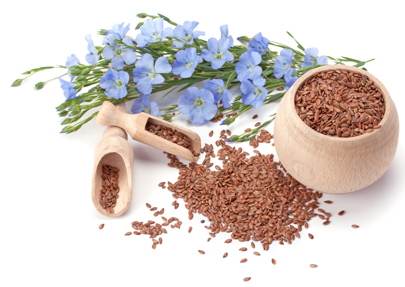 Why Should You Eat Flax Seeds In Pregnancy