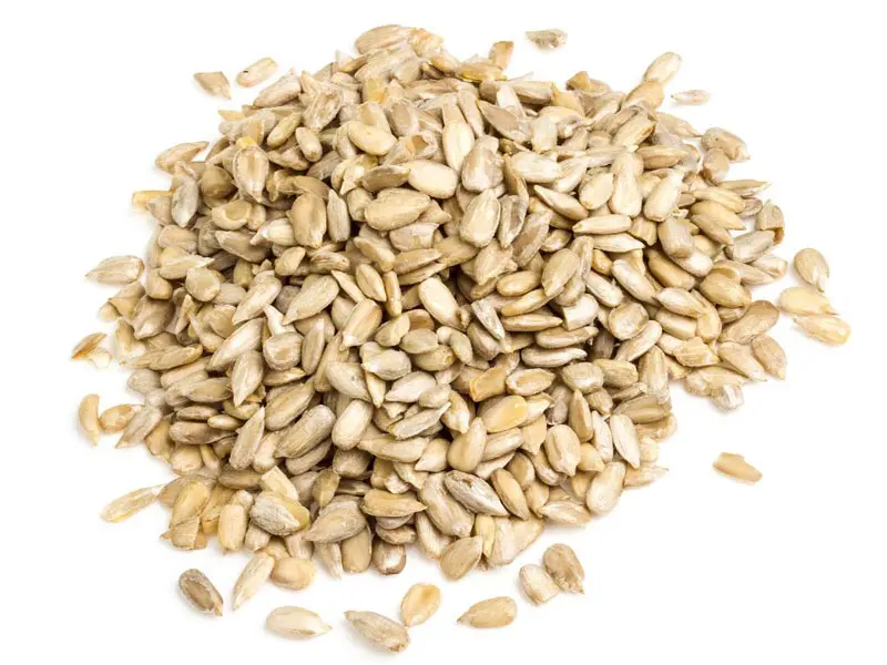 Sunflower Seeds During Pregnancy | Styles At Life
