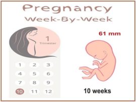 10 Weeks Pregnant: Symptoms, Baby Size and Weight