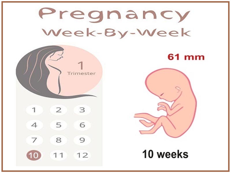 10 weeks pregnant woman