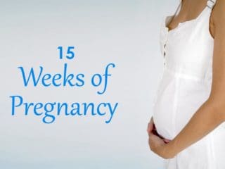 15 Weeks Pregnant – Symptoms and Fetal Development