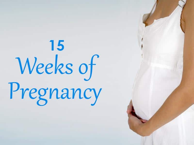 15 Weeks Pregnant Symptoms And Fetal Development