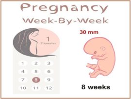 8 Weeks Pregnant: Symptoms, Diet and Exercises