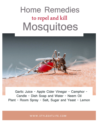 Home Remedies To keep mosquitoes away
