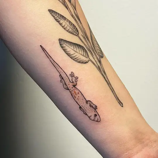 sage leaf tattooTikTok Search
