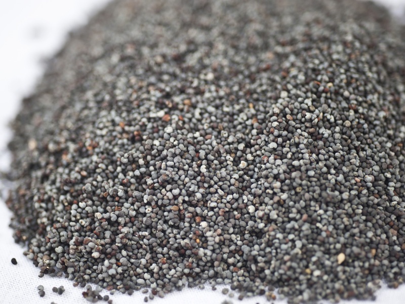 Poppy Seeds During Pregnancy
