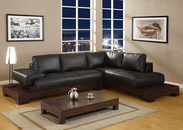 Leather Hall Sofa Design