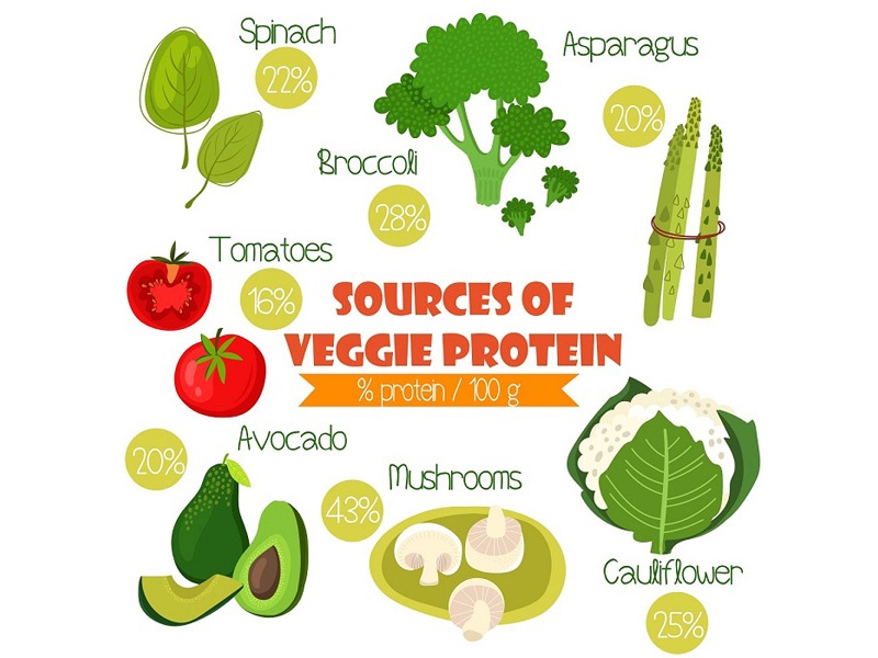 Protein Rich Vegetables List Available In India