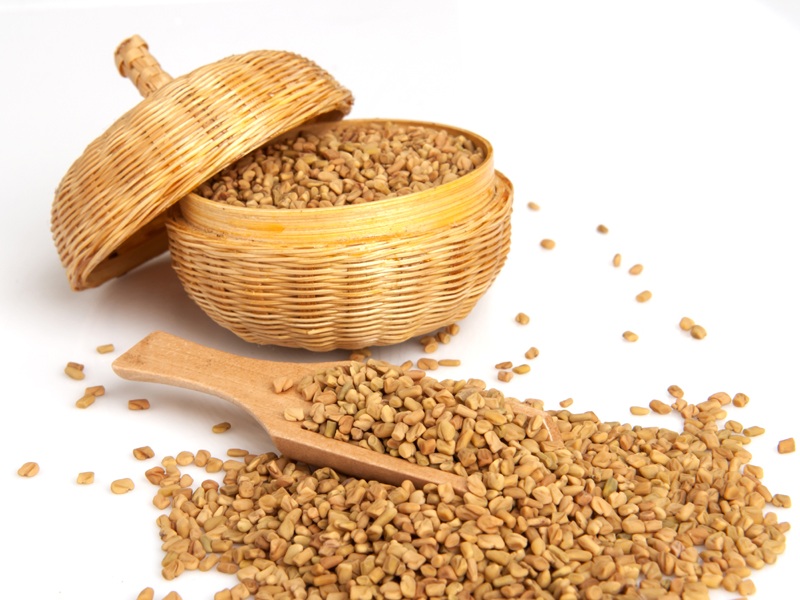Fenugreek Seeds: Health Benefits Unveiled – Organic Gyaan