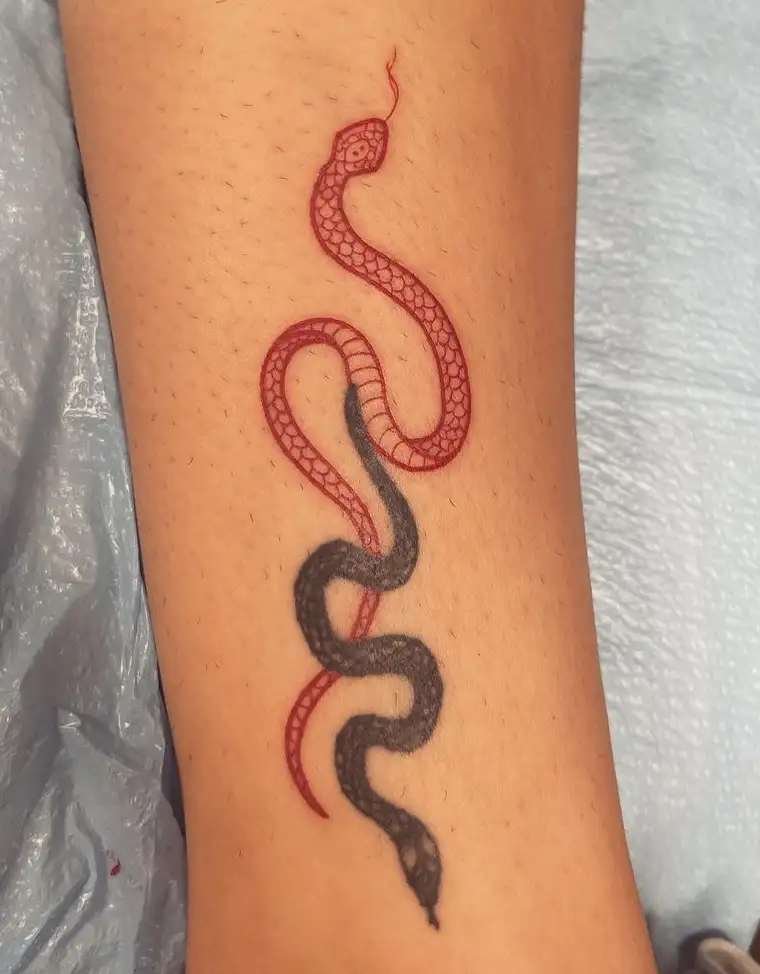 Small red snake tattoo  Tattoogridnet