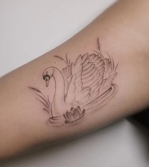 Swan tattoo design by Haukkahalla on DeviantArt