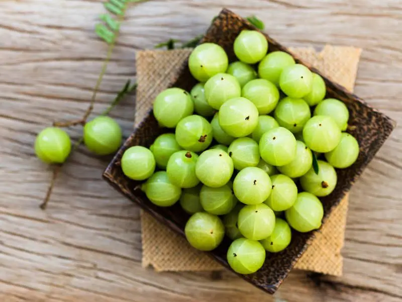 Amla Benefits For Health, Hair & Skin:15 Research-Based Saying's