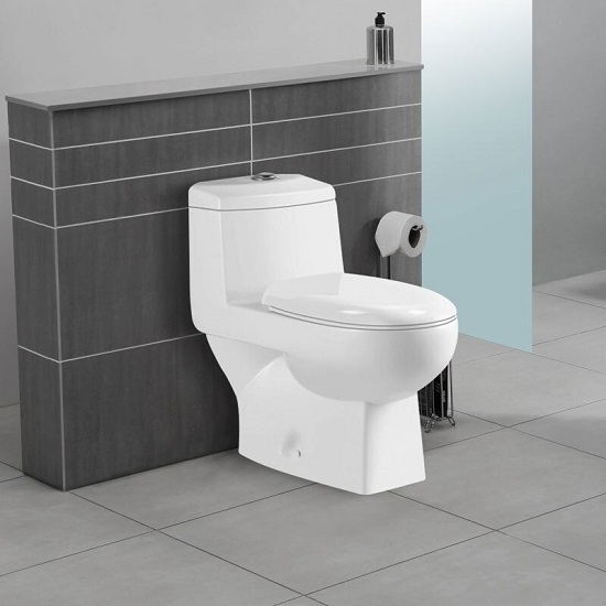 Contemporary Toilet Design
