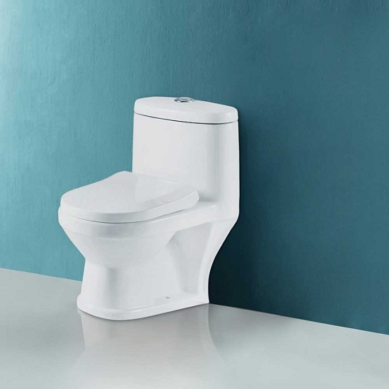 Western Toilet Design