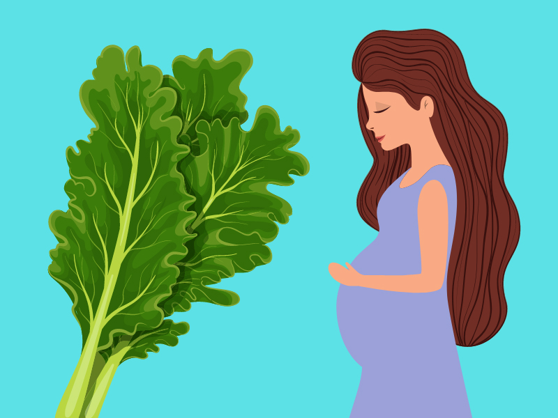Kale During Pregnancy