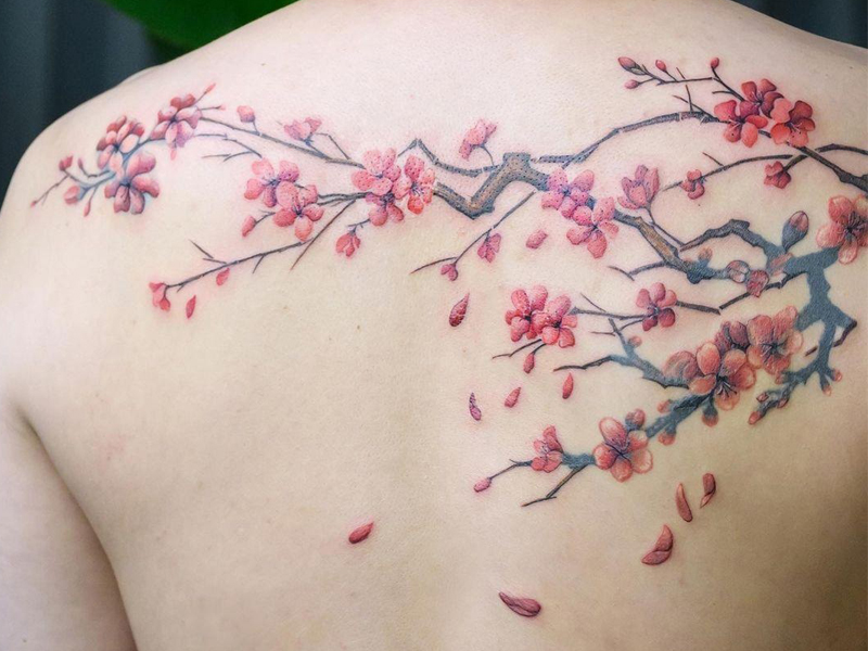 15+ Best Cherry Blossom Tattoo Designs With Meanings